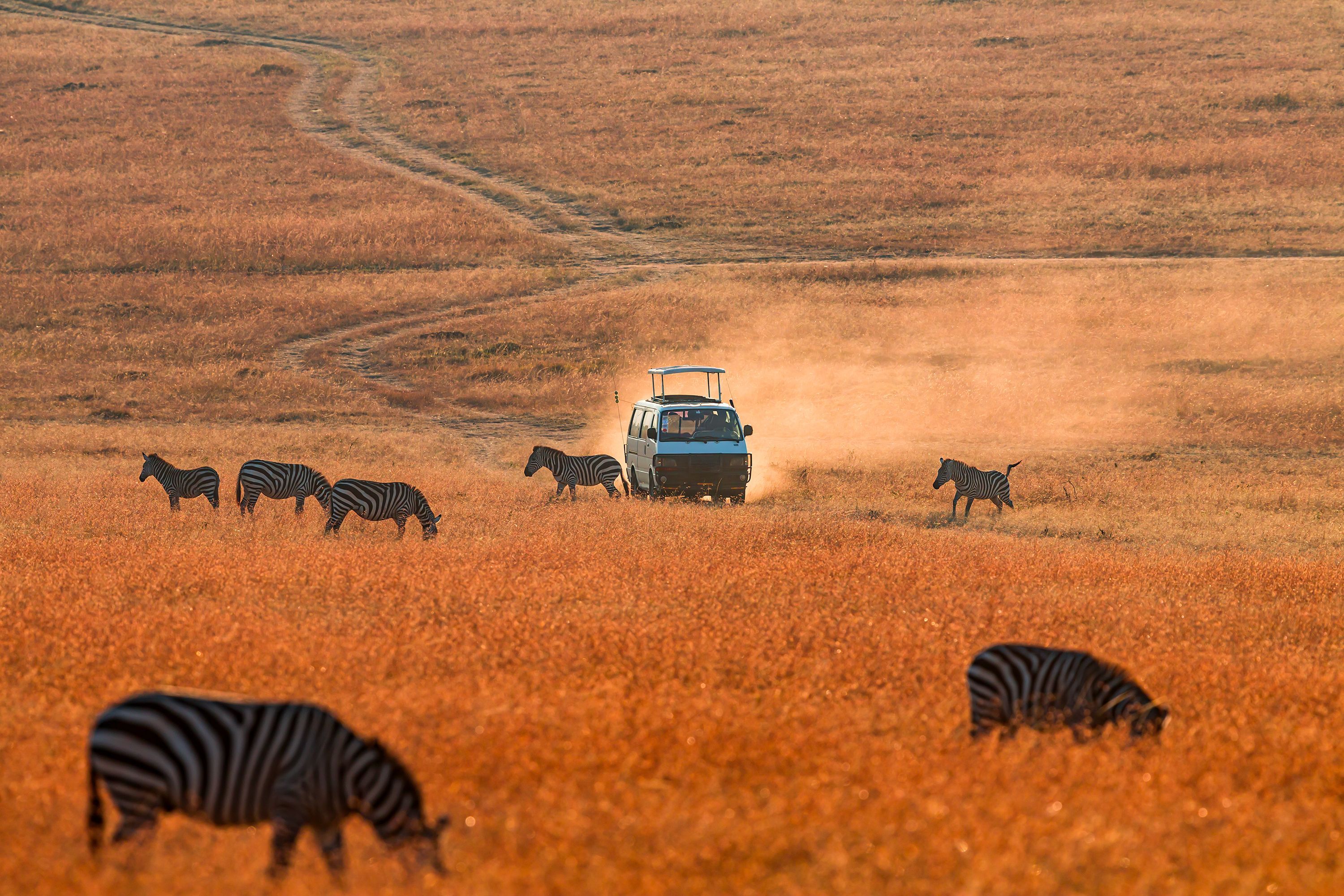 KENYA and  TANZANIA(9N/10D)