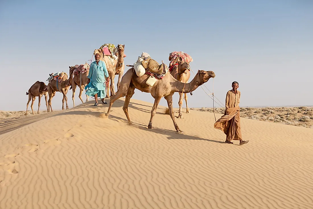 Rajasthan Unveiled: A Six-Day Journey Through History and Culture&amp;quot;