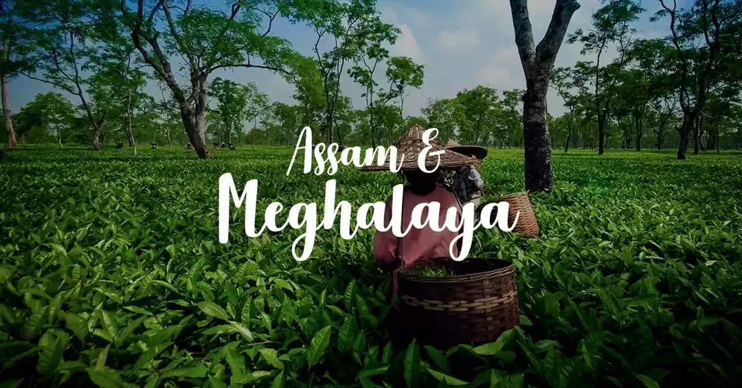 ASSAM MEGHALAYA